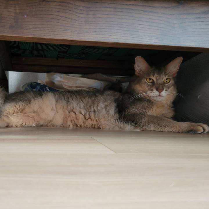 9ea57e29 9bf1 4822 acf3 15b53a7a54b4 1662631220349