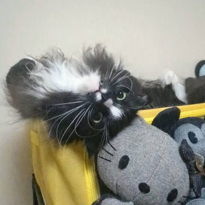 9ea58967 3567 413e 9a41 e677182d6edf 1733788423194