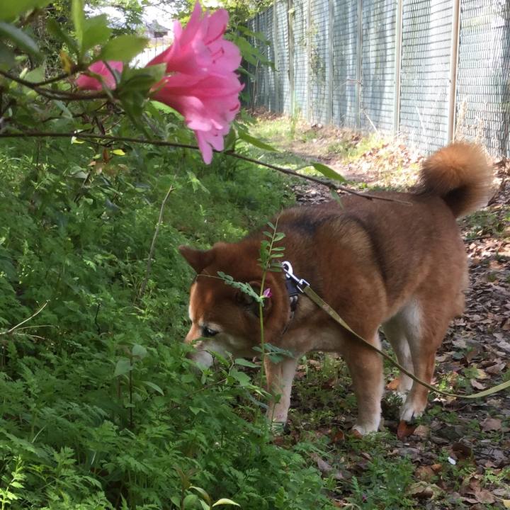 9ea590e7 8161 4b7a 82e0 ce16a1fe12ba 1617847993136