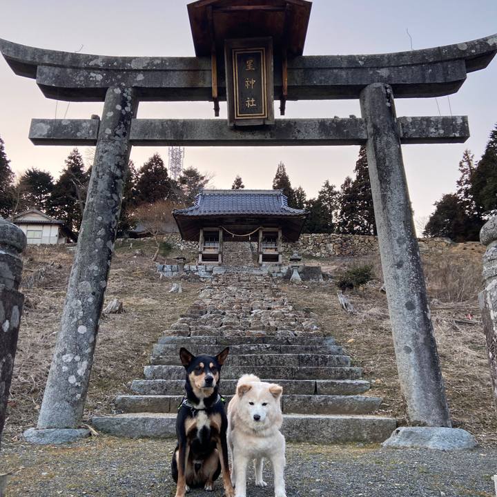 9ea59678 67b0 49d6 9a09 8bbf8e58af8c 1678098734033