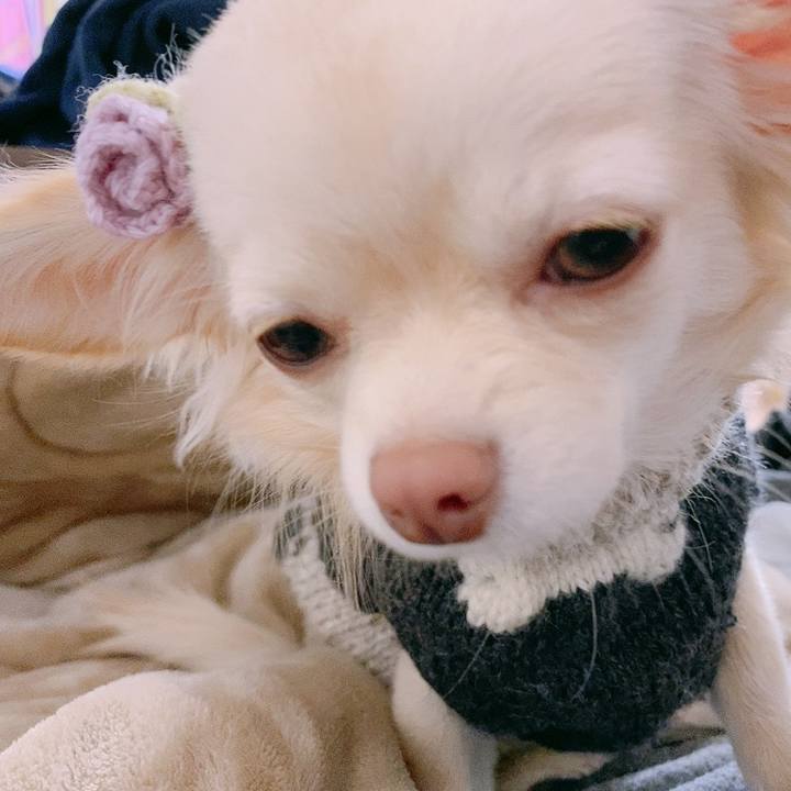 9ea63b4f 3080 4bab ab4b fa1a66bbb2a8 1611217930170