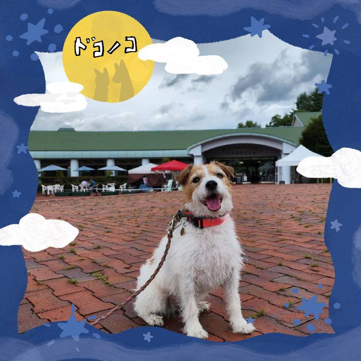 9ea63ce9 9876 404e 8147 bde71eb04f3c 1726898342350