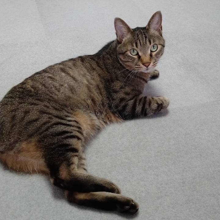 9ea687cd 8056 4521 be66 45358db7ab98 1685609963297