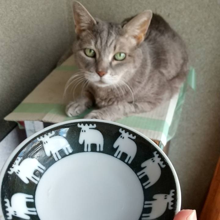 9ea6a477 5edb 473c a87e fc55af334b8f 1694471894076