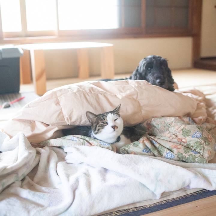 9ea6cf3b c1a1 4446 8d83 522b18eb4f28 1568939075029