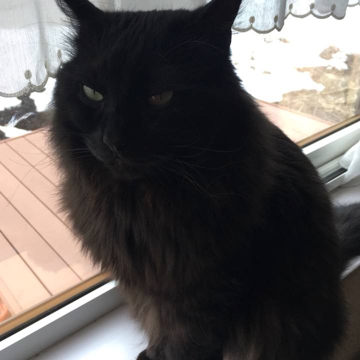 9ea7269b 1456 4c4c 8257 cfd795b634a6 1553064971082