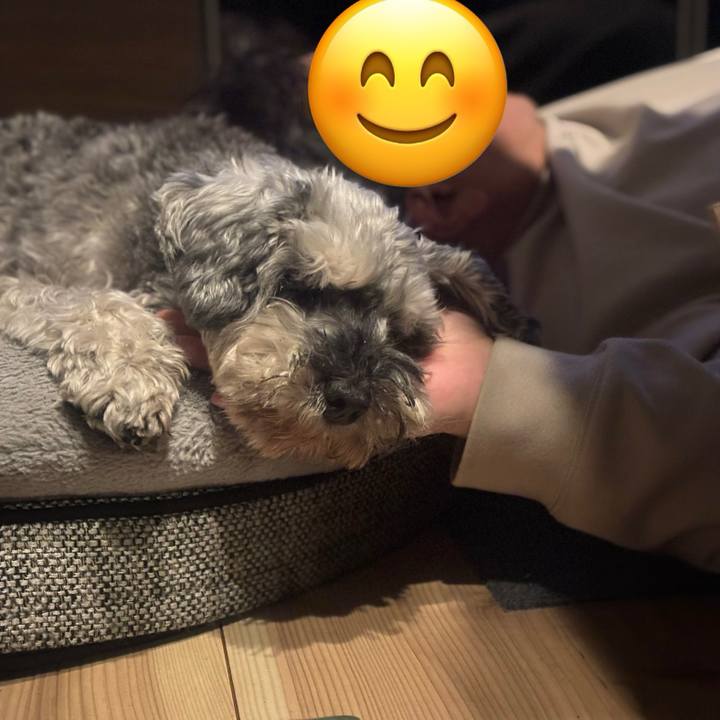 9ea73b5c 619b 4710 9756 ea4d8fff9ce4 1762168988740