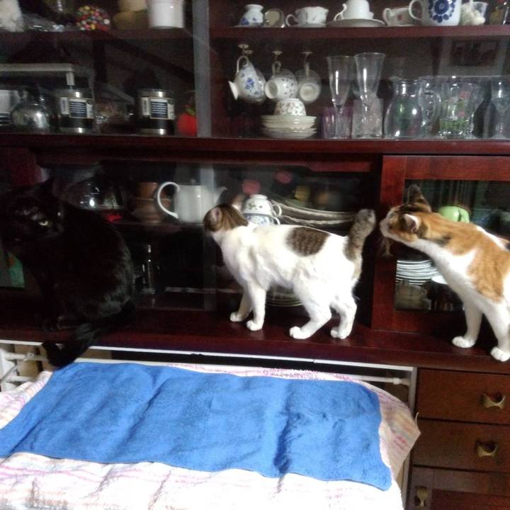 9ea77fb2 83d3 470b b2a7 479a5740b06b 1643635778528