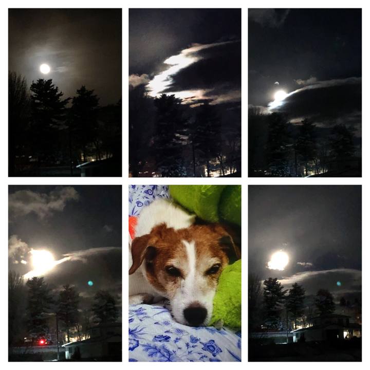 9ea78146 ba96 45cd 9951 f19284601a51 1512471369396