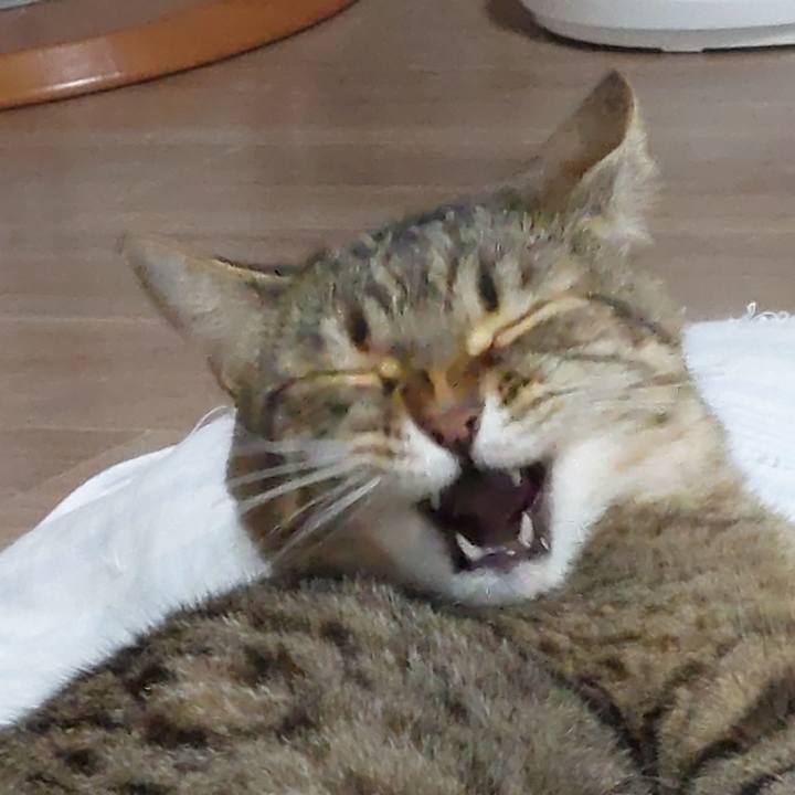 9ea79893 6496 414c 81c9 5769d7fb0d3d 1654169916206