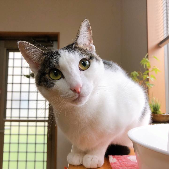 9ea7a87c 0732 4c8b 906d 2308b91114c7 1603322556157