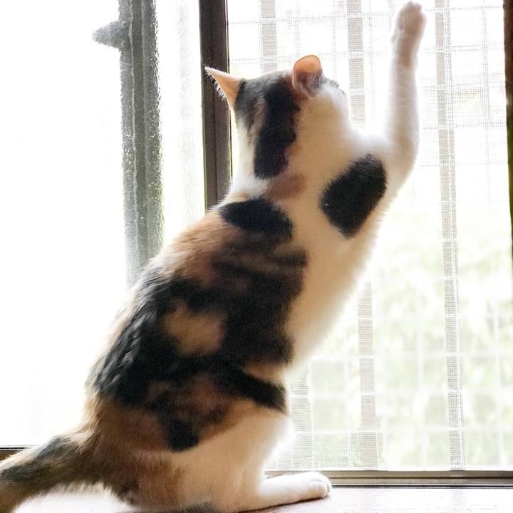 9ea81414 d966 471e b78d 9074405fdaf4 1531062031432