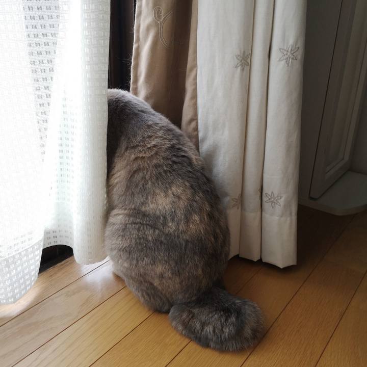 9ea820da d7d4 43ca a796 fa977329a4b0 1566690154652