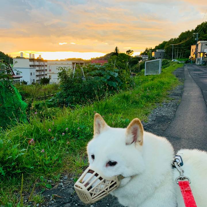 9ea8619a dd28 4cc7 9e83 fd8c2bd68817 1599166813502