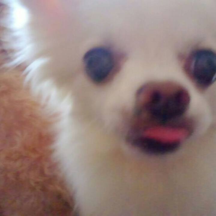 9ea8c00d bb78 4359 8c23 bc3793f0e38f 1534718534016