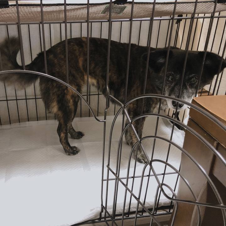 9ea8c9b5 a906 45df 97a5 0b62c0d16426 1623163606993