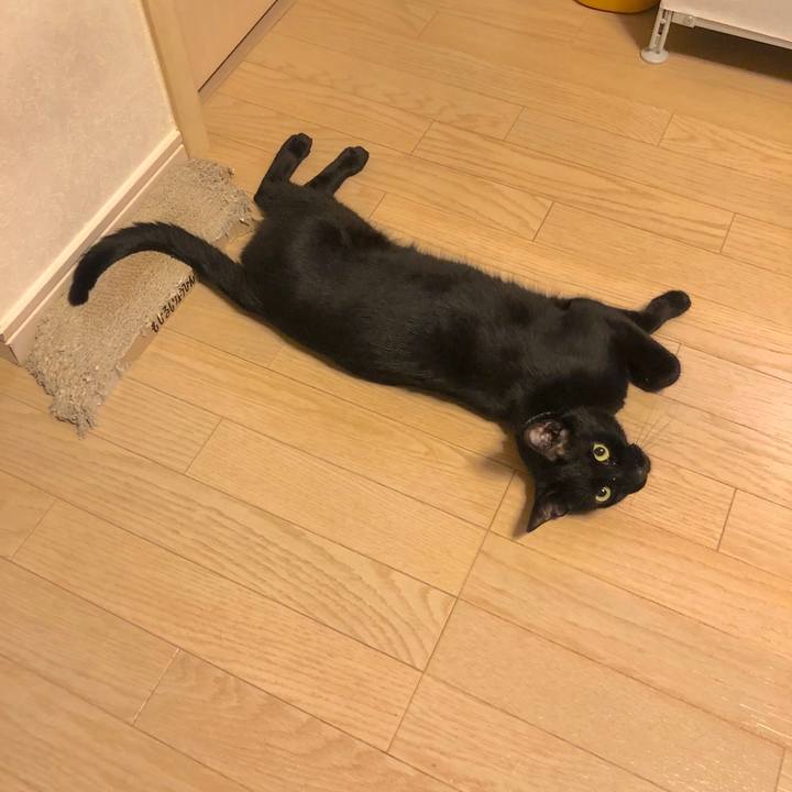 9ea8ca8a fe71 4836 874b bb8414fd73cb 1564576544156