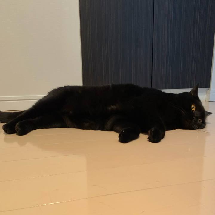 9ea90409 73a7 4ece 8c8a 6d5a34cff8bc 1622973478734