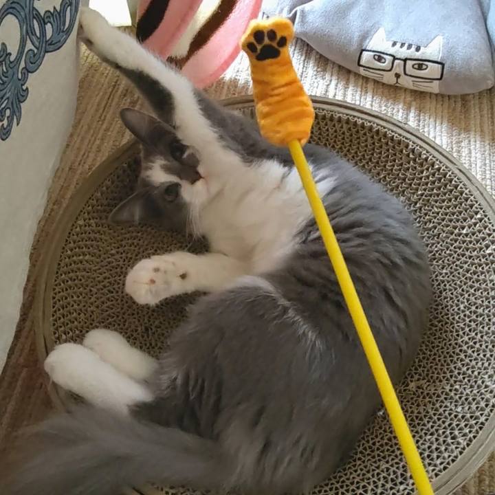 9ea9046f 133e 45cd b08a 337b8e20ee76 1569754268374