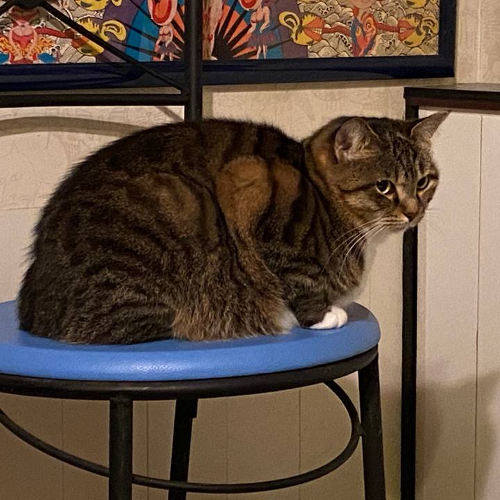 9ea931b5 e562 4409 b3c3 553feb5dbd0c 1576256327223