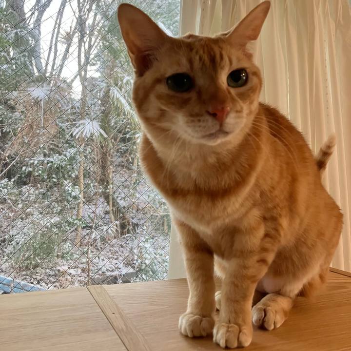 9ea93c2d b7de 4dbf a31c eb1a9e61b890 1770508356283