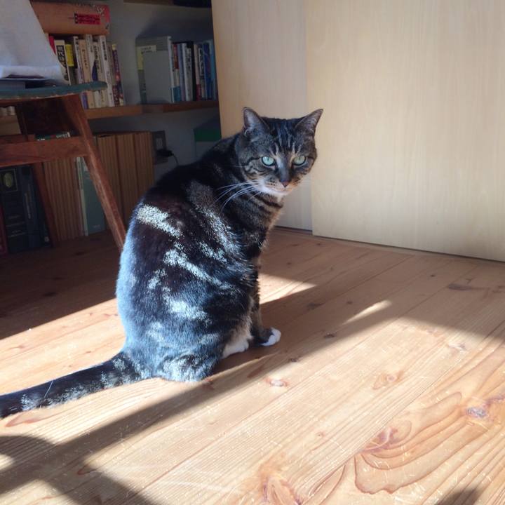 9ea9477a 500b 492f 9f2c 6a3a104f692c 1523318512886