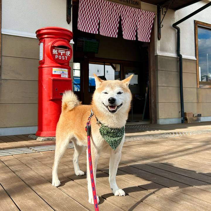 9ea95fc3 cec5 4fbd 9768 5b883d593f03 1738149168640