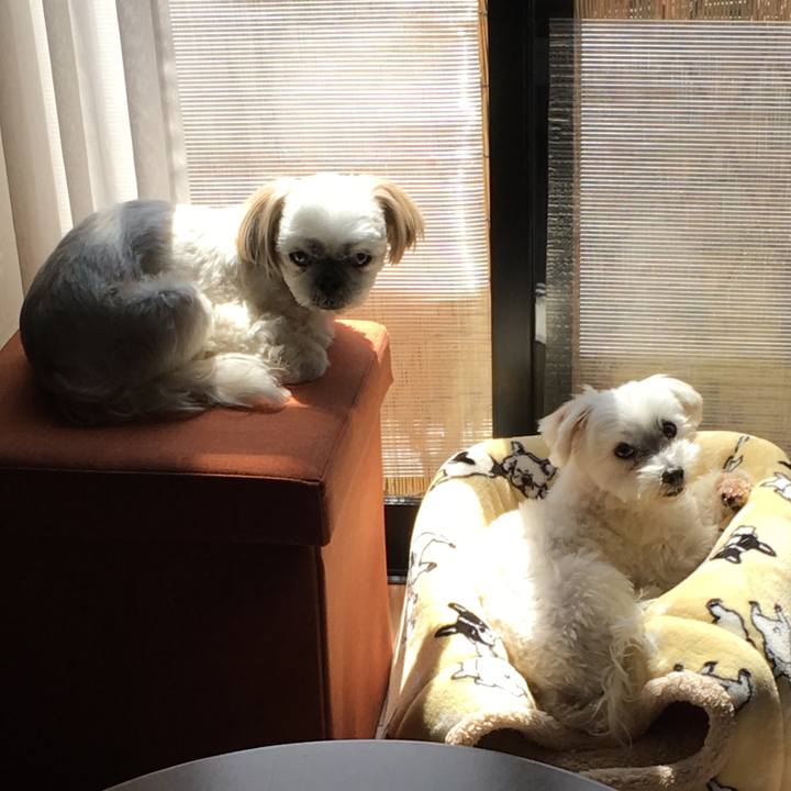 9ea96b0b 43ff 448f adec b9cc3397a074 1554779224308