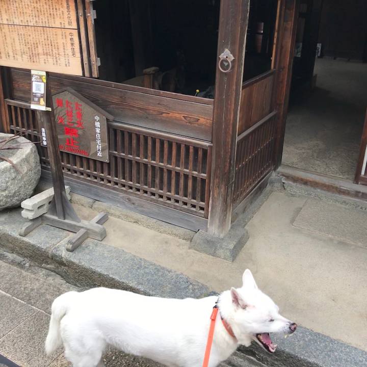 9ea98639 2085 4c70 9970 7186e4cb66f2 1526820454062