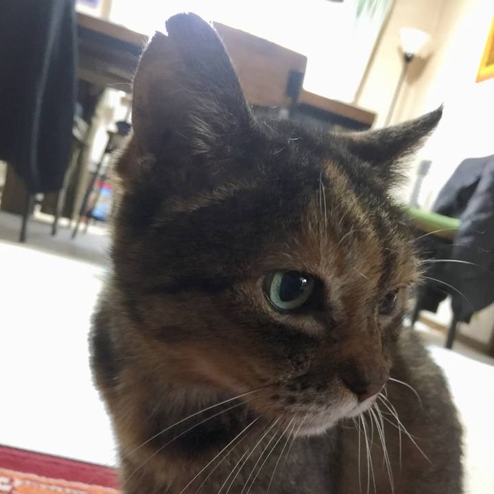 9eaa072f bf01 4c26 8b44 7c8b1e262ba0 1635822667367