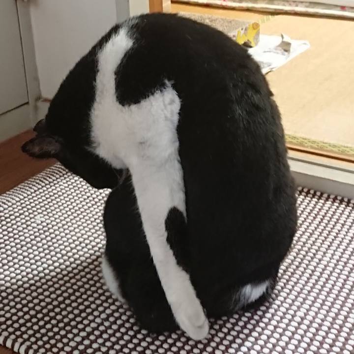 9eaa408f f998 4807 85fb c82e477fa486 1597787220316