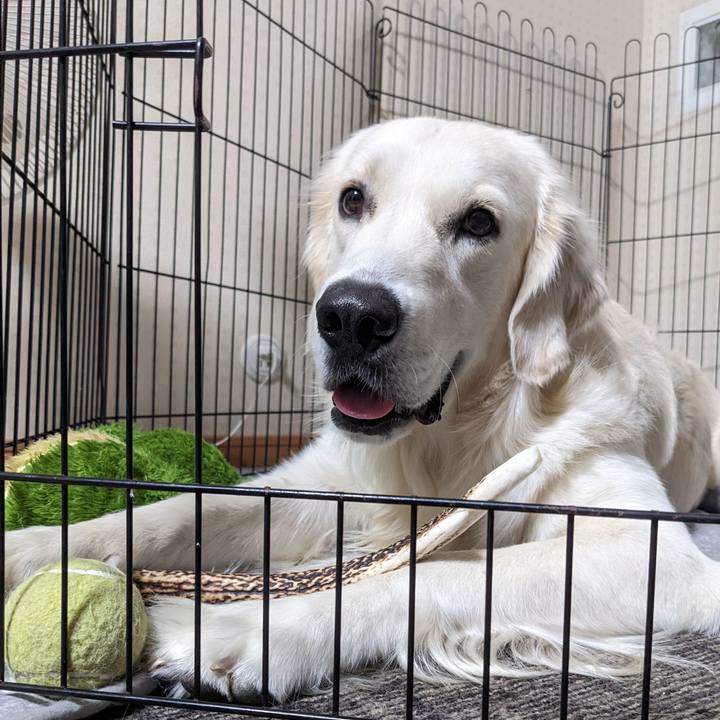 9eaa45e0 0616 40d3 bace b6ada2e9956e 1758913585853