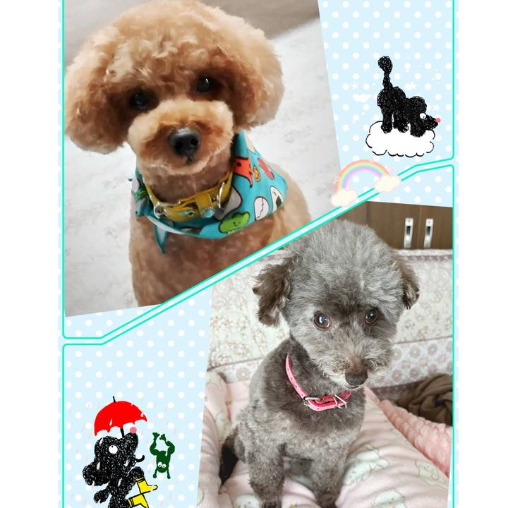 9eaa57ce b12d 4cff 8f9b d1874e3af11f 1716793370016