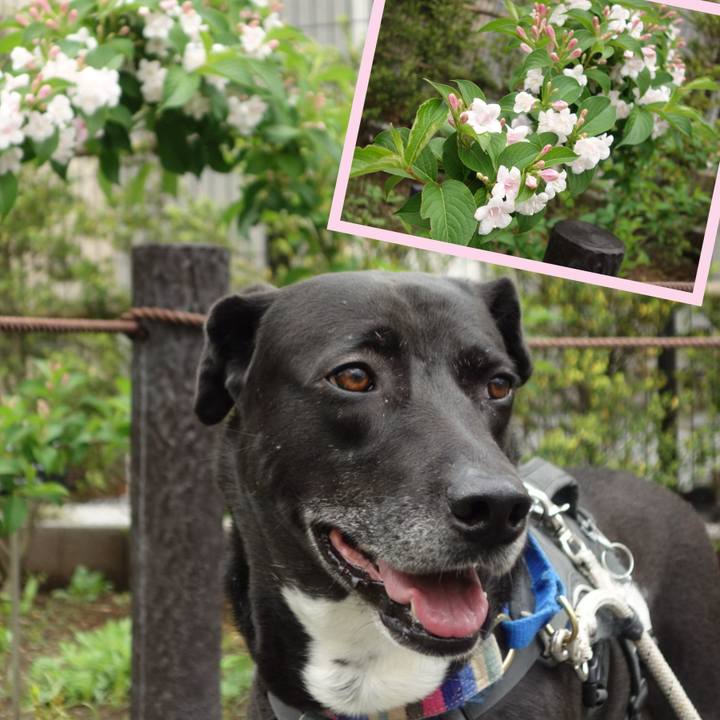 9eaa6d5f 4071 439e 93a1 95d2cb481231 1651453284775