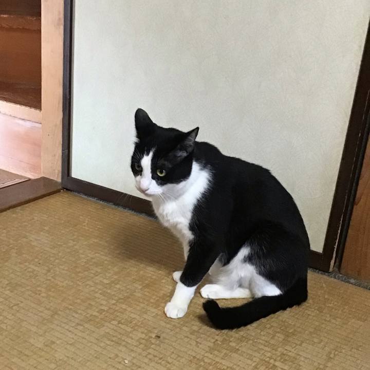 9eaa7388 bd60 489e 9cad 71a801a0e637 1726557153107