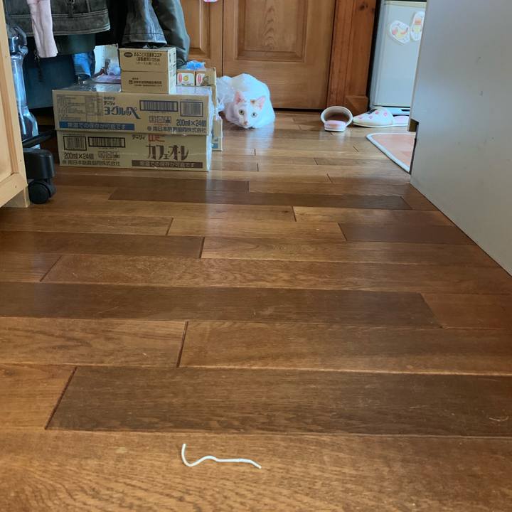 9eaa8a66 fff2 4d48 ba6a de0b2ddd2f70 1564271187613