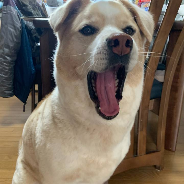 9eaab2ce 5f69 4a06 8428 16f9e5c92f71 1584587184513