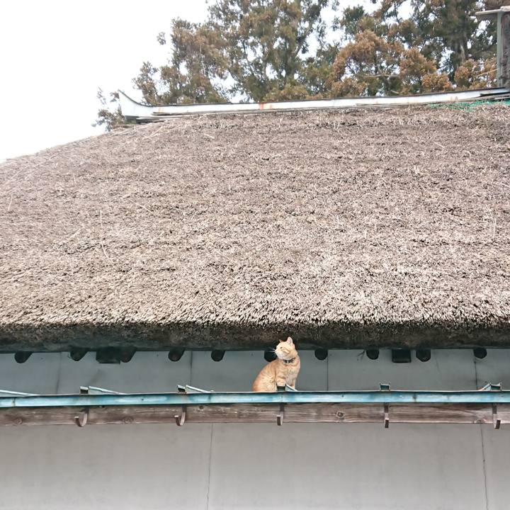 9eaad989 06d4 44a7 bd0a 19cd91ef7d79 1648520481700