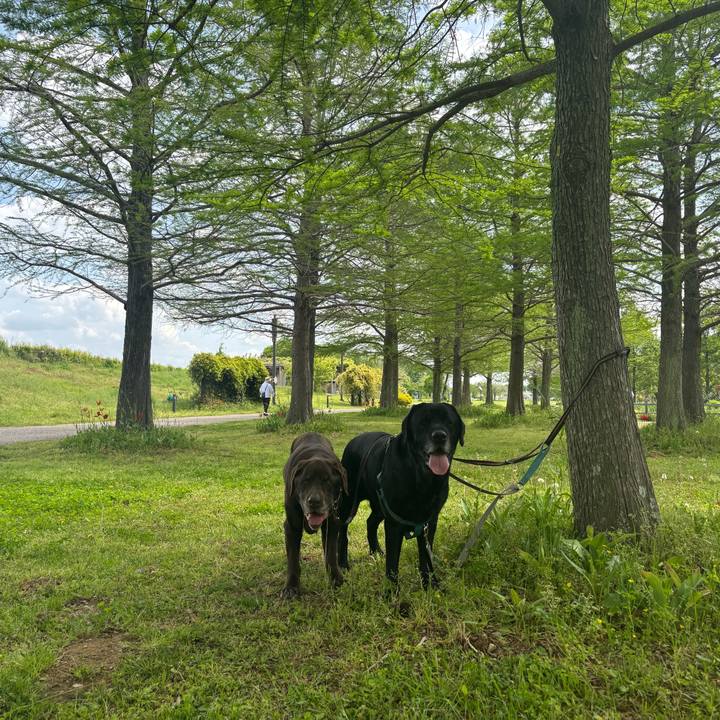 9eaae644 5f69 4cb6 a803 a8d71fdce2c1 1777379792377