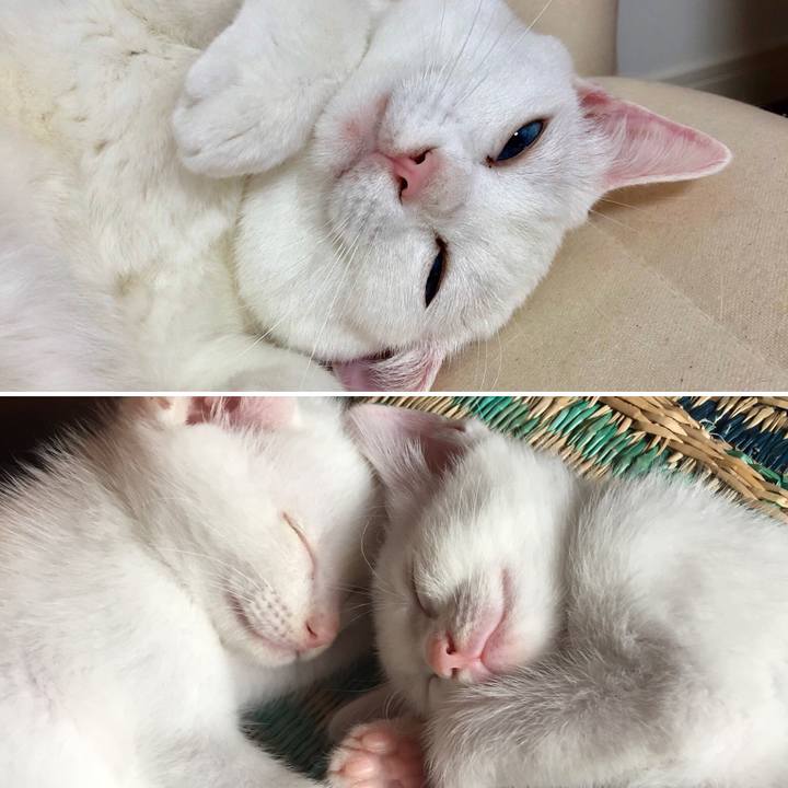 9eaaf059 0804 4156 a95d c9188f723652 1525647611763