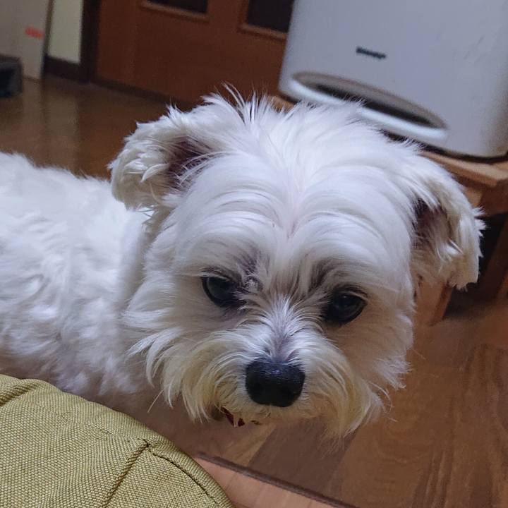 9eaaf0a9 4aa9 4f96 b222 56a7037987b9 1606918095689