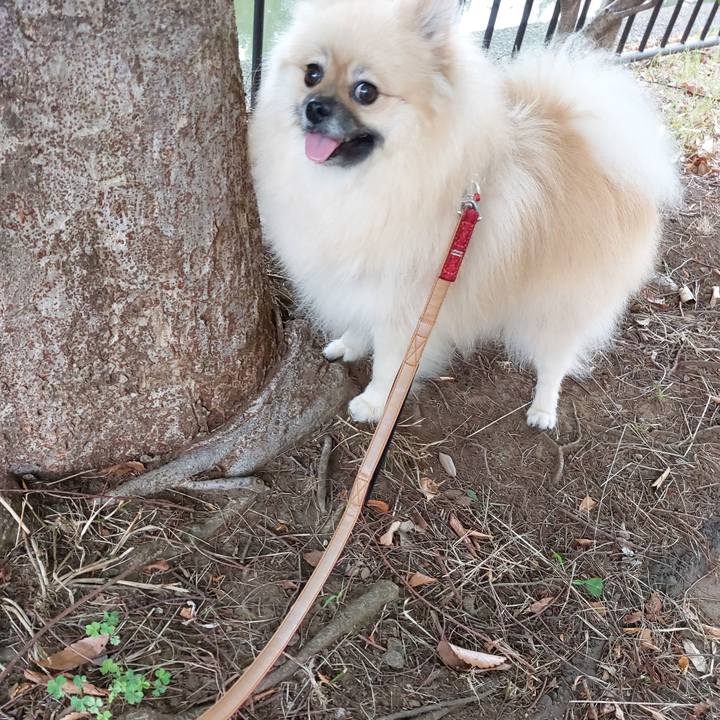 9eab77d1 29fa 41fe a6ce 2fa6bdaa4ba4 1661683433959