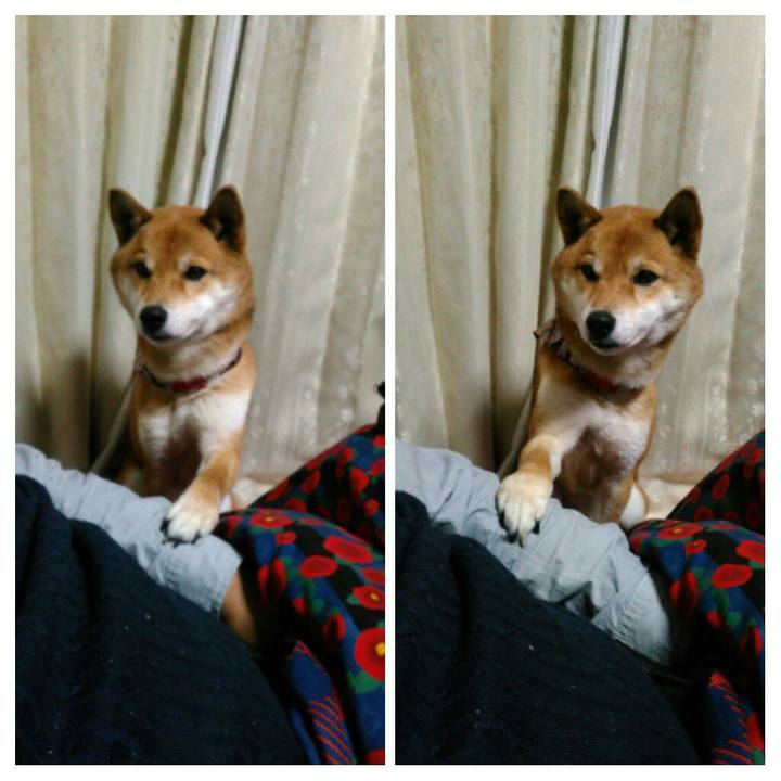 9eab7872 899c 407c 9f4f 50fc279679cc 1520685002681