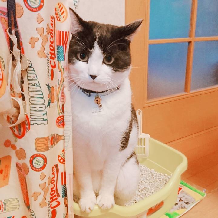 9eaba282 63d2 4624 a731 6f28e0f9cf6c 1513750192472