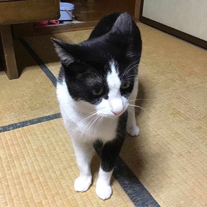 9eabdaf1 787a 4112 a5fd 1d117cf68485 1688906256751