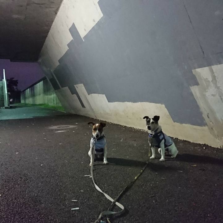 9eabdc25 ce17 4470 8f6b da420fe4dc7f 1568290616115