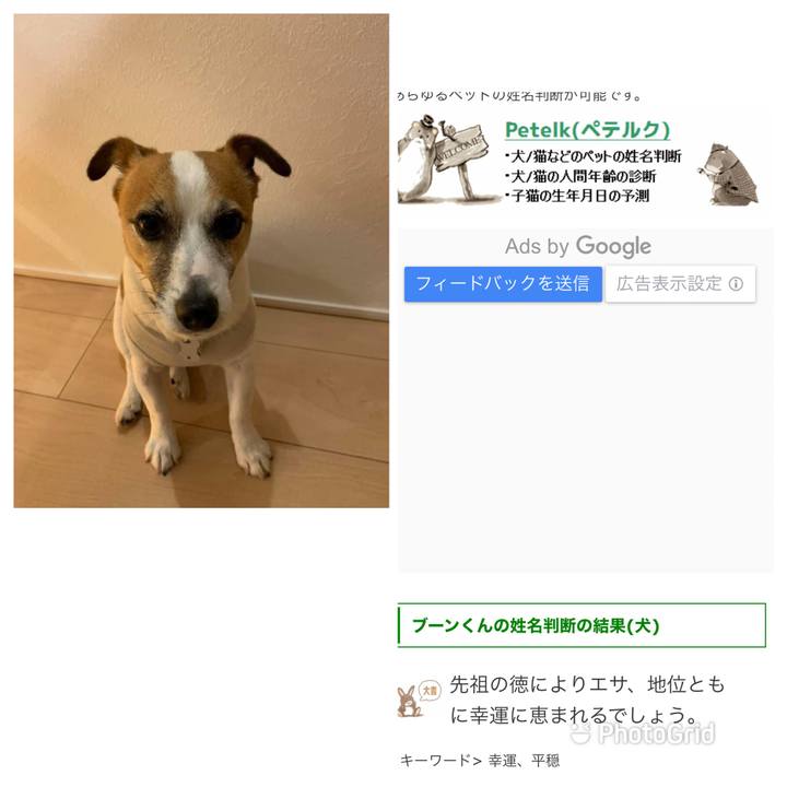 9eabdf4c f00b 4da3 b476 5059f7f55933 1652703475978