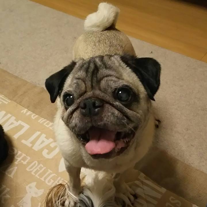 9eabf97d 1151 4f62 86cd 46034c1de388 1534082820936