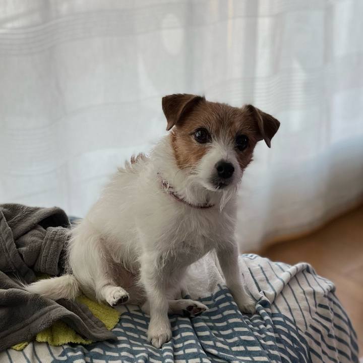 9eac3603 7f8d 4859 bc23 0e9bbbfd0f6a 1700823559948