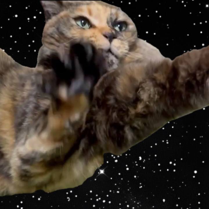 9eac6fed b179 4ed0 abec 57f4d0afab82 1769547560962